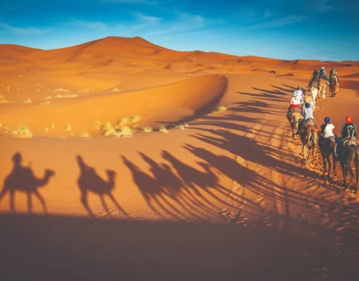Desert Safari Self Drive Dubai – 4×4 Adventure Tour Desert Safari Self Drive Dubai with 4x4 dune bashing and private camp activities