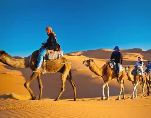 Premium Desert Safari Dubai – Luxury 4×4 Desert Adventure Premium Desert Safari Dubai with luxury 4x4, dune bashing, camel rides, BBQ dinner, and live shows
